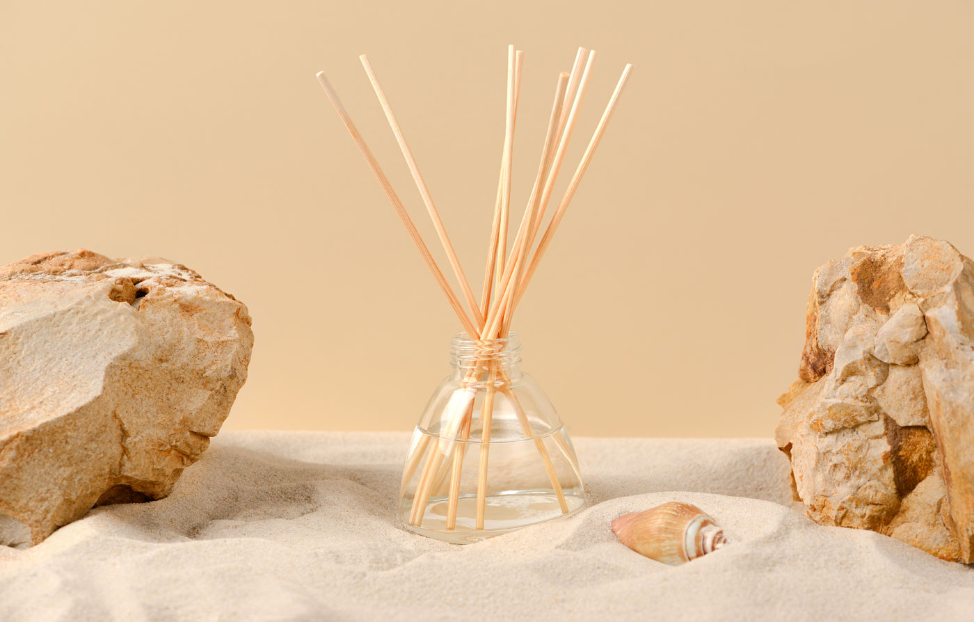 Transform Your Home with Vacate et Videte Diffuser Transform Your Home with Vacate et Videte Diffuser