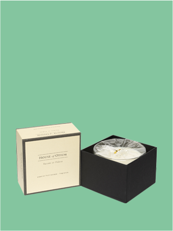 HOOPFEC - Passion Fruit Candle